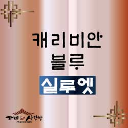 캐리비안블루 - 실루엣 1kg / 500g